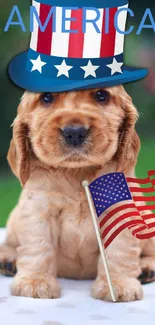 Cute puppy with patriotic hat and flag.