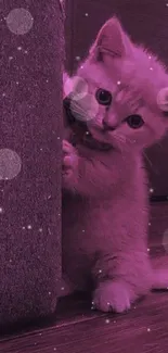 Cute pink kitten peeking from behind a couch in cozy wallpaper.