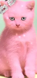 Adorable pink kitten with a ring, perfect for a mobile wallpaper.