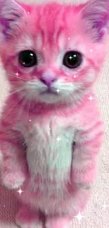 Charming pink kitten standing upright on a light background.