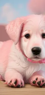 Adorable pink puppy lying on a soft surface.