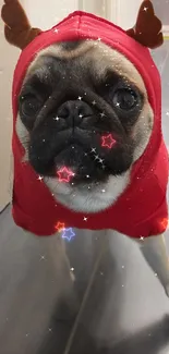 Pug in a red festive outfit with starry effects on a mobile wallpaper.