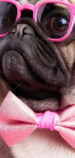 Cute pug wearing pink glasses and bow tie on wallpaper.