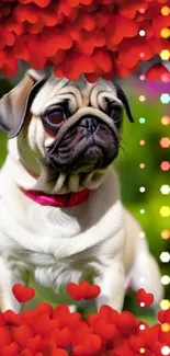 Cute pug surrounded by vibrant red hearts.