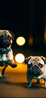 Two adorable pugs under warm glowing lights, creating a cozy atmosphere.