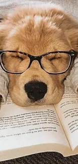 Cute dog with glasses resting on a book.