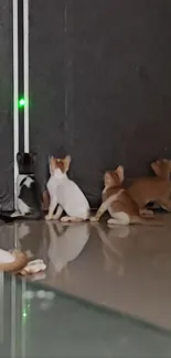 Adorable puppies sitting by a reflective door.