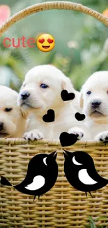 Three adorable puppies in a basket on green grass, surrounded by nature.