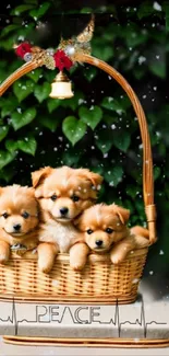 Cute puppies in a basket with greenery background.