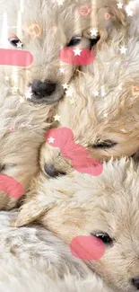 Adorable fluffy puppies snuggling together, perfect for a mobile wallpaper.