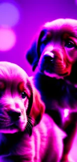 Two adorable puppies in neon purple hues.