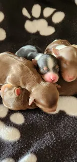 Adorable newborn puppies on a cozy paw-print blanket.