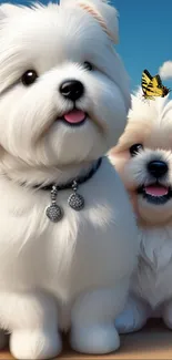 Fluffy white puppies with a butterfly on blue sky background.