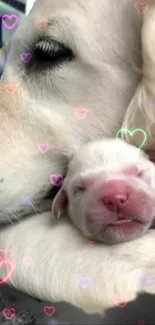 Adorable puppies embraced by loving dog with neon hearts.