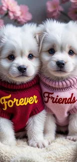Puppies in sweaters with floral background.