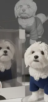 White puppy in blue outfit with reflection in box.