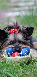 A cute puppy with a red bow, lying on green grass with colorful eggs.