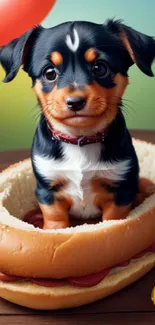 Adorable puppy sitting in a hotdog bun with a colorful background.