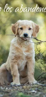 An adorable golden retriever puppy holding a stick in a lush green setting.