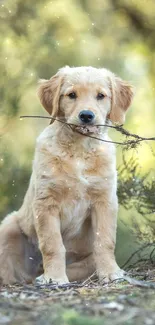 Cute puppy with stick in lush green setting.