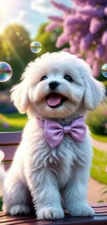 Fluffy white puppy wearing a bow in a flower-filled spring garden.