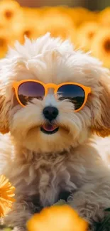 Puppy wearing sunglasses in a field of yellow flowers.