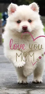 Fluffy white puppy with 'Love You Mom' text in heart shape.