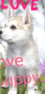 Adorable husky puppy with love text in nature.