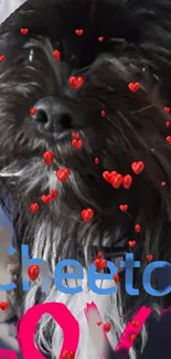 Cute black puppy with heart decorations in a love-themed wallpaper.