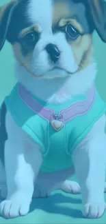 Adorable puppy in teal outfit on wallpaper.