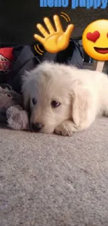 Cute puppy laying on carpet with emojis.