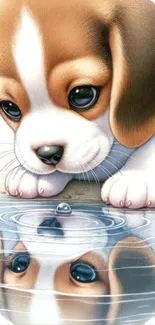 Adorable puppy looks at its reflection in water, mobile wallpaper.