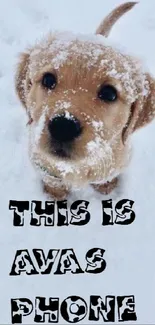 Cute puppy in snow with 'This is Ava's Phone' text.