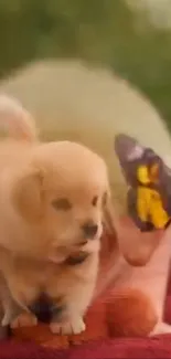Cute puppy with butterfly on back on soft surface.