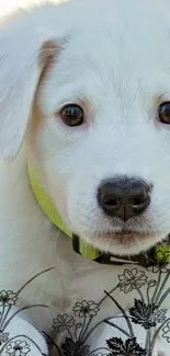 Adorable white puppy with floral accents on a phone wallpaper.