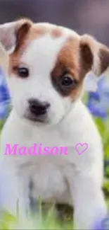 Adorable brown and white puppy with flowers.