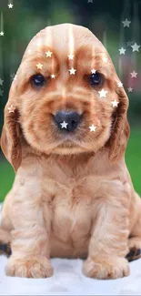 Golden puppy surrounded by stars on a serene background.