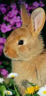 A cute brown rabbit amidst vibrant spring flowers.