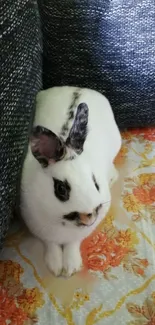 Cute rabbit resting between floral cushions on a cozy mobile wallpaper.