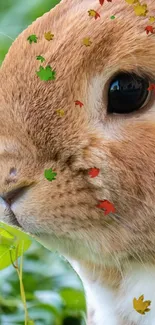 Charming rabbit with autumn leaves on face.