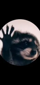 Cute raccoon waving on a black background mobile wallpaper.