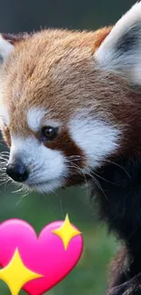 Adorable red panda with heart emoji on a nature background.