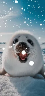 Adorable baby seal on icy snow under a blue sky.