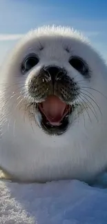 Adorable white seal pup on snowy landscape.