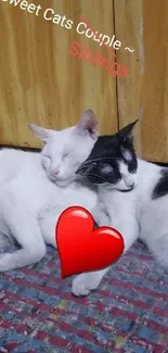 Adorable sibling cats cuddling with a red heart overlay on a cozy rug.