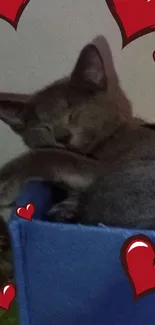 Sleeping grey cat with red hearts mobile wallpaper.