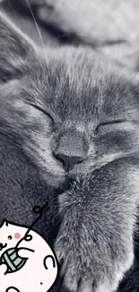 Adorable gray cat sleeping peacefully in a cute artistic wallpaper.