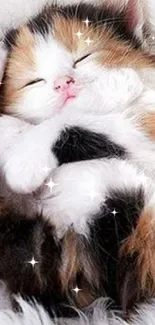 Fluffy kitten peacefully sleeping on a white soft surface.