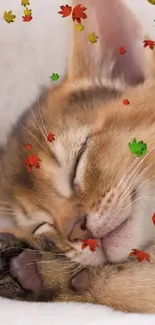 Adorable kitten sleeping among autumn leaves.