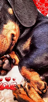 Adorable puppy sleeping with red heart 'Love' design.